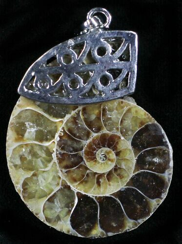 Fossil Ammonite Pendant - Million Years #4273